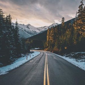 Meet your Posher, Riley